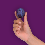 Fotografija Rakija od šljive