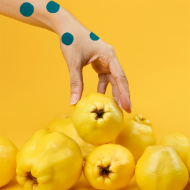 Fotografija Rakija od dunje